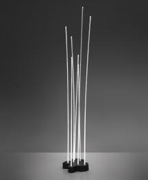 Abbildung des Modells Reeds