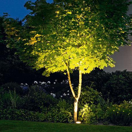 Bega Garten- und Wegeleuchten Lichtaustritt 180° mit Erdstück - Normallampen