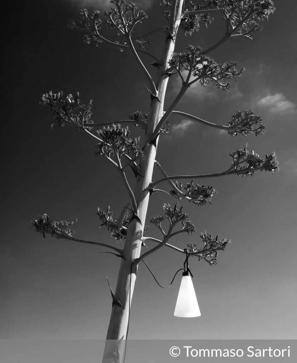 Flos Mayday Outdoor | © Tommaso Sartori