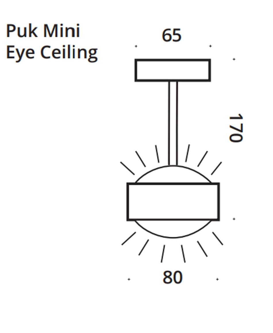 Top Light Puk Mini Eye Ceiling LED