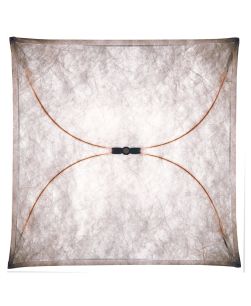 Flos Ariette