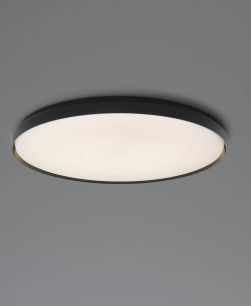Flos Clara Wall/Ceiling