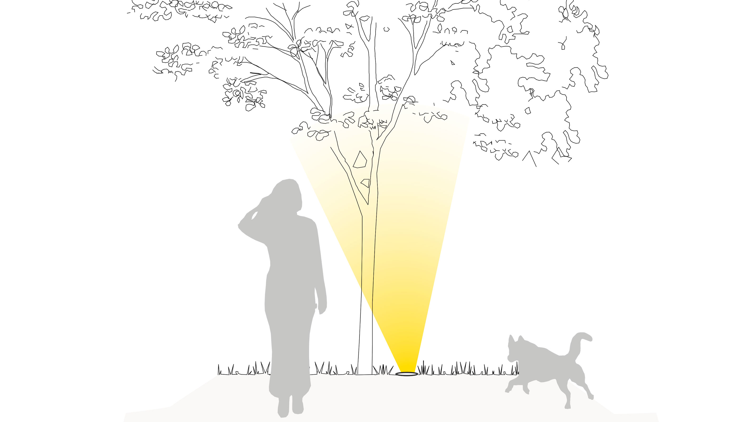 Illustration einer optimalen Lichtplanung in der Vegetation mit Außenbodeneinbaustrahlern