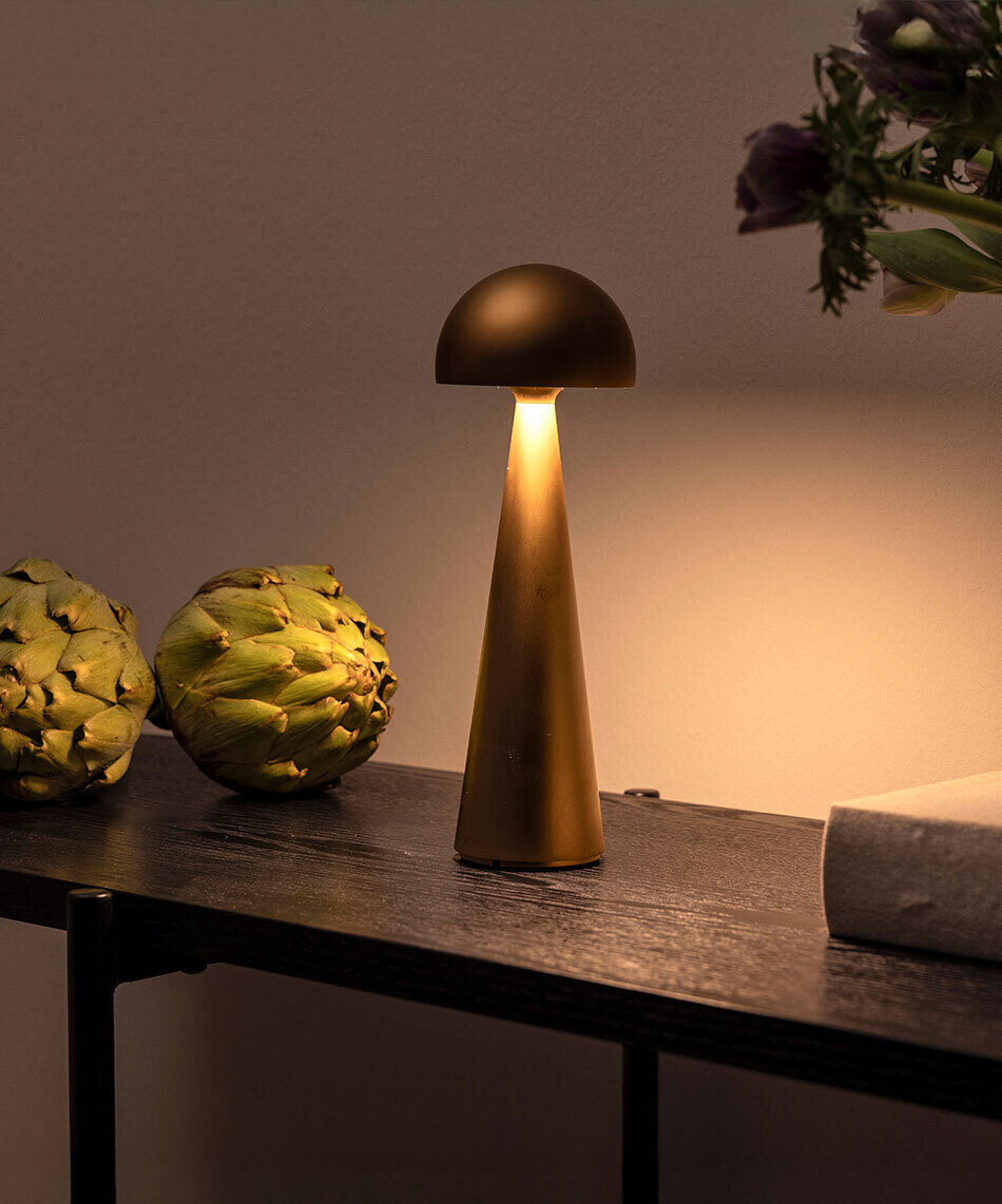 Das Bild zeigt die p.141 Akkuleuchte in Gold von prediger.base auf einem Regal mit Dekoobjekten (Artischocken, Buch und Vase mit Blumen).
