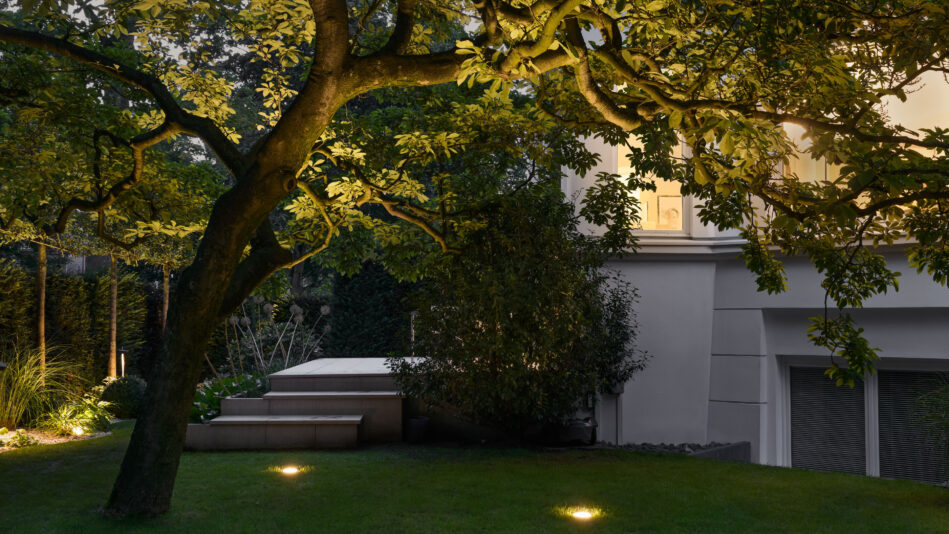 Eine Magnolie im Garten wird von Bodeneinbauleuchten von unten beleuchtet. (Foto: Prediger Lichtberater)